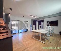 AX1316 Aradului-Lipovei, Spatiu pentru birouri premium