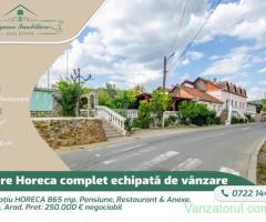 Spațiu HORECA 865 mp, Pensiune, Restaurant & Anexe, Lipova, Arad