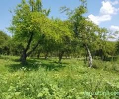 UNIC ! Teren lotizat 5000 mp Muscel Câmpina, 