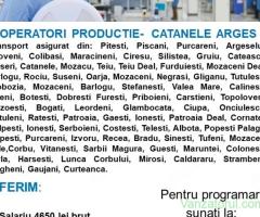 Operatori productie Catanele Arges