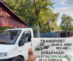 transport marfa moluz