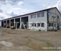 Teren si hala 42.000 mp + zona administrativa la 7 minute de Fagaras