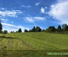 Teren pitoresc sat Bistrita