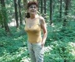 Vanzare teren intravilan Gostinari