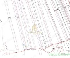 Teren Intravilan 2.700 mp Plopeni - Salcea | Ideal Livadă sau Grădină