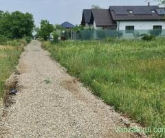 Teren de Vanzare Dascălu