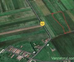 Teren Agricol Extravilan 3.38 hectare Pischia-Murani
