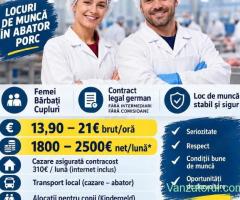 Locuri de muncă la abator- Germania - Fără experiență !