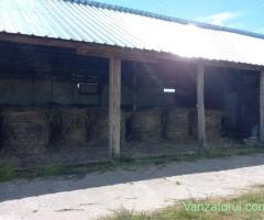 Vand saivan animale și teren aferent 2 ha