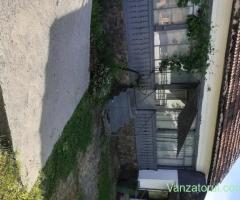 Casa+teren de vanzare