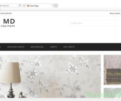 magazin virtual opencart, magento