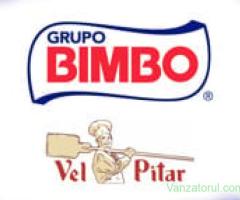 Lucrator Gestionar Receptie - Vel Pitar (Grupo Bimbo) - Dumbravita