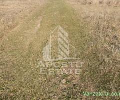 TEREN AGRICOL 1,524 HA, LA DOAR 10.000€ Comision Zero %