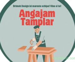 Angajez Tâmplar mobilă la comandă