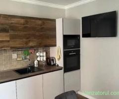 Apartament cu o camera de inchiriat in zona Take Ionescu