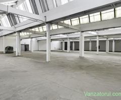 Hala Industriala de inchiriat 1.174 mp cu rampa egalizatoare, Arad