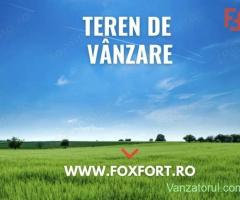 OPORTUNITATE - Teren extravilan - padure, 20.720 mp in Cincis