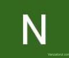 Angajez curatenie pensiune la Narcis Pardina