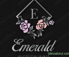 Florărie complet funcțională de vânzare Florești, Cluj