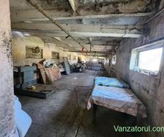 Închiriez în Sanandrei teren și hala