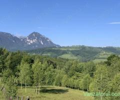 Vand Teren - Poiana Marului, Brasov