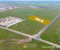 Teren pentru hale industriale Arad – 5.000 mp | PUZ aprobat |
