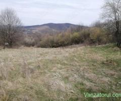 teren extravilan de vinzare resita linga satul doman