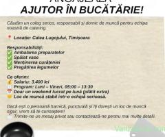 Gusta delivery angajeaza ajutor in bucatarie
