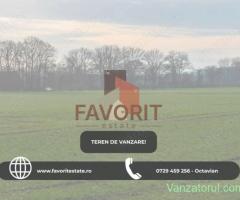 Terenuri in Sacalaz | Investitie | Spatiu comercial | Zona excelenta |
