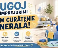 Fac curățenie la domiciliu