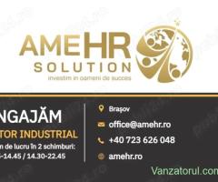 ANGAJĂM URGENT Vopsitor industrial