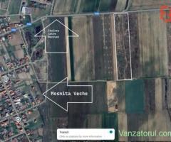 Teren de vanzare 15.100 mp, iesire la asfalt Mosnita Veche