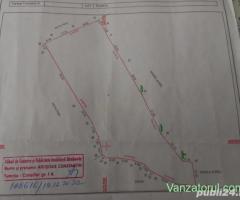 vanzare teren Runcu (DB)