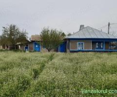Casă și teren 2000 mp plus vie în câmp