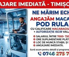 Macaragii pod rulant- Timisoara