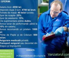 Angajam controlori caitate in SIBIU