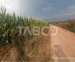 Oportunitate investitie Teren de vanzare 18.844 mp zona Turnisor Sibiu
