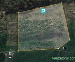 Teren Extravilan 4,5 hectare in Lipova