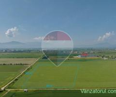 Teren industrial de vânzare – DN13, Feldioara, Brasov!