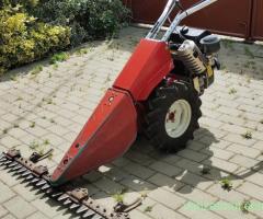 Motocositoare profesionala BERTOLINI
