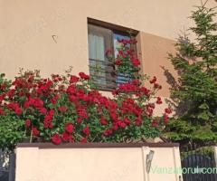 Eleganță, spațiu și confort Duplex modern în Clinceni, lângă Pasajul Domnești