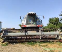 Altele Vector