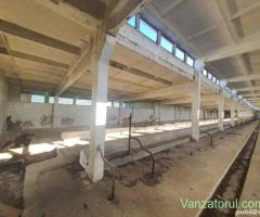 5000mp Platforma betonata cu hala 2000 mp Recas