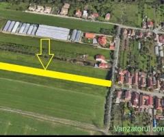 Teren intravilan in Aradul-Nou