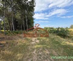 Teren extravilan in zona turistica Sambata de Sus/Dragus