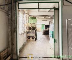 Hala industriala de vanzare Arad – 589 mp