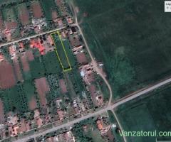 Vand parcela 2300 mp. intravilan Calacea , Jud. Timis