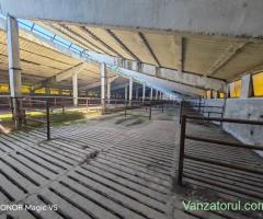 Spațiu industrial -fermă Orțișoara