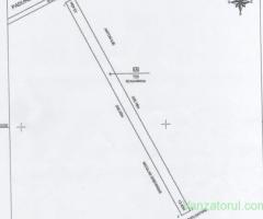 Teren intravilan 4500mp în comuna ogrezeni ,jud. Giurgiu