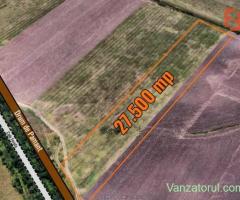 Teren extravilan 27.500 mp de vanzare in Timisoara-Zona Exterior Vest Mehala